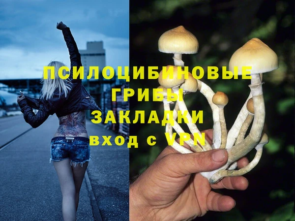 наркотики Алексин