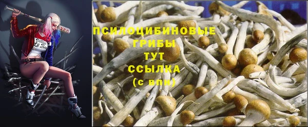 прущий лед Алексеевка