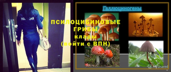 ГАЛЛЮЦИНОГЕННЫЕ ГРИБЫ Алзамай