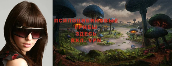 наркотики Алексин