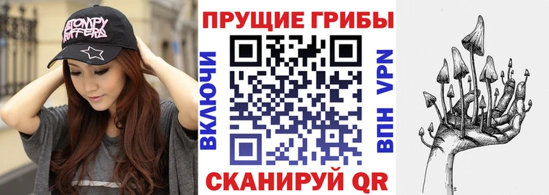 Купить где  Кашира  Галлюциногенные грибы мицелий 